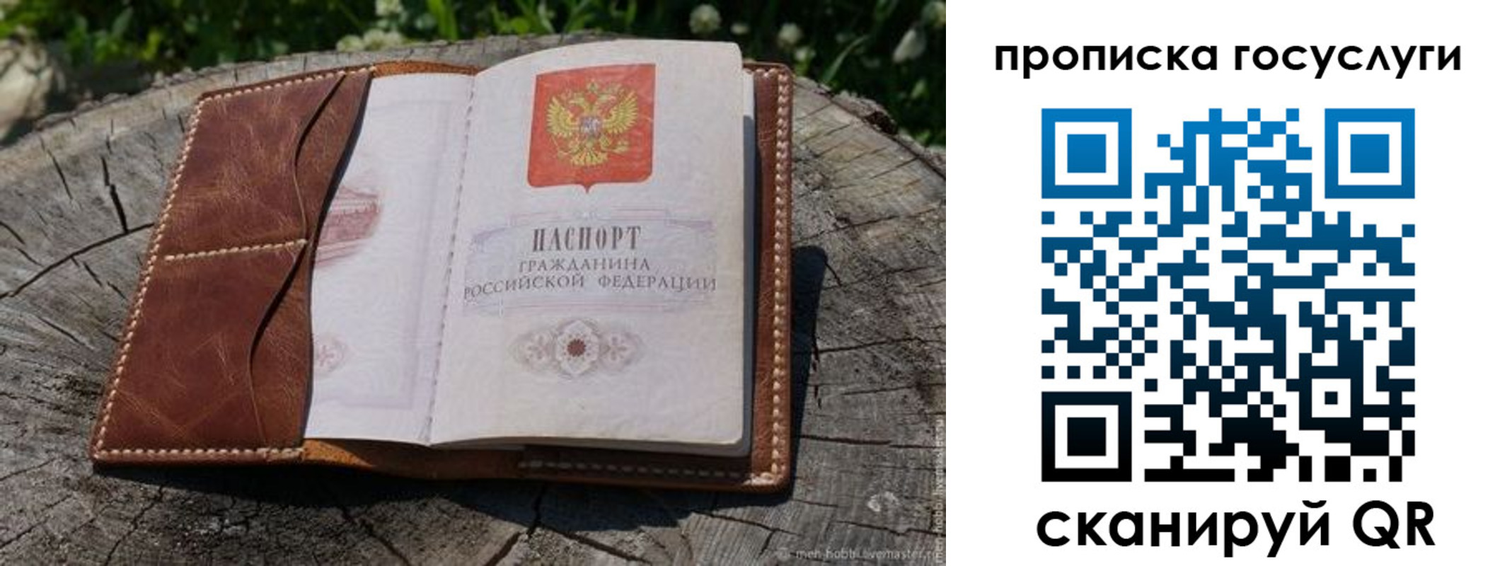 прописка для школы в Серове